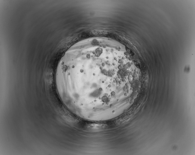 X0000099450323200806061112