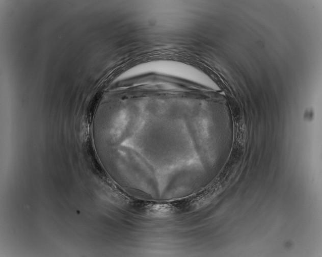 X0000099450324200806061112