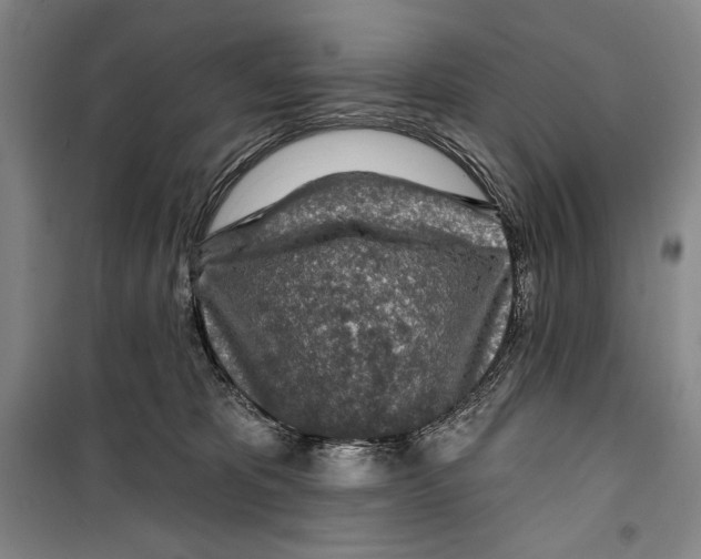 X0000099450325200806061112