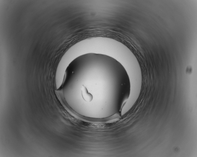 X0000099450328200806061112