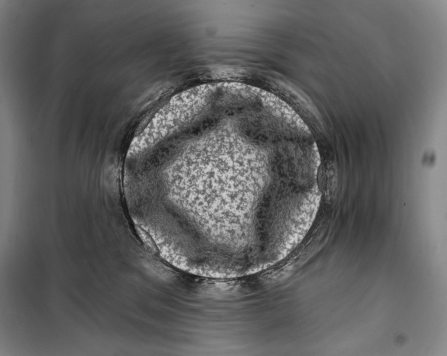 X0000099450329200806061112