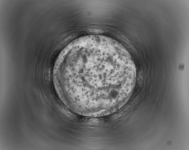 X0000099450330200806061112