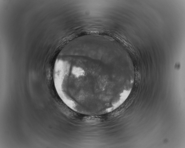 X0000099450331200806061112