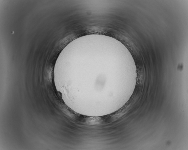 X0000099450334200806061112