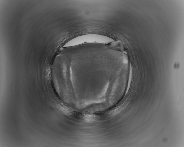 X0000099450336200806061112