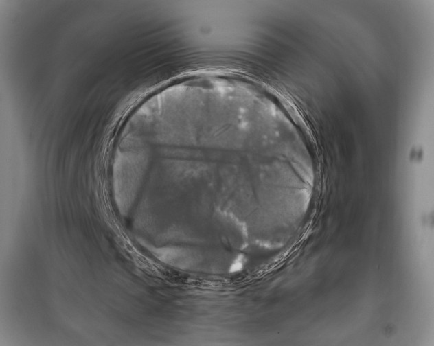 X0000099450337200806061111