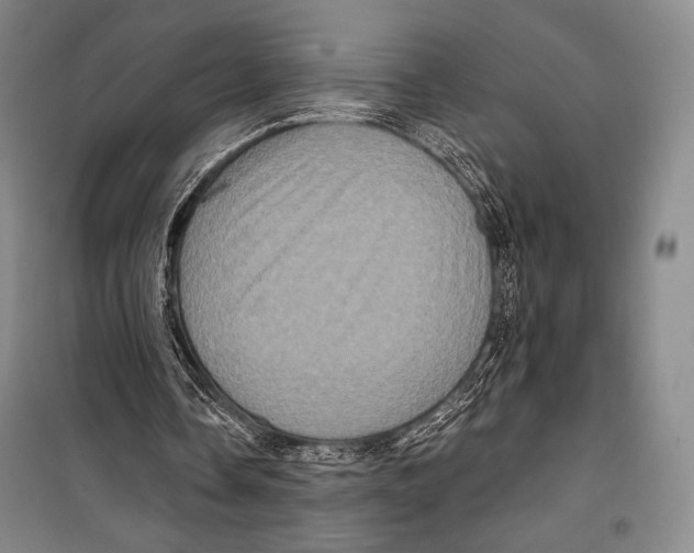 X0000099450338200806061111