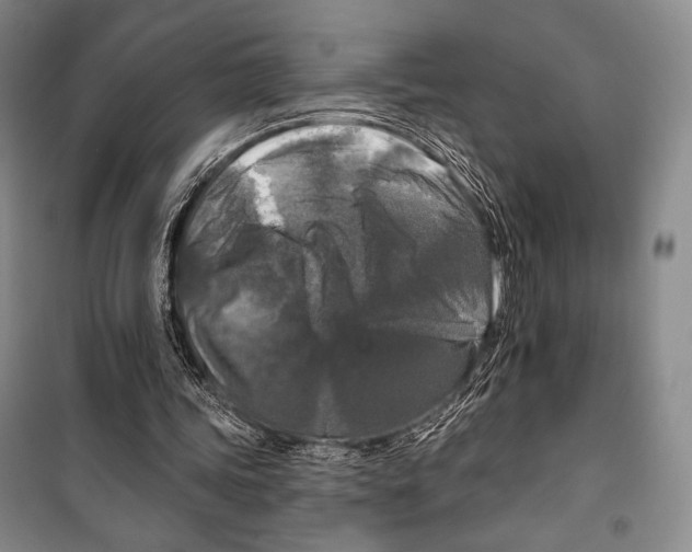 X0000099450339200806061111