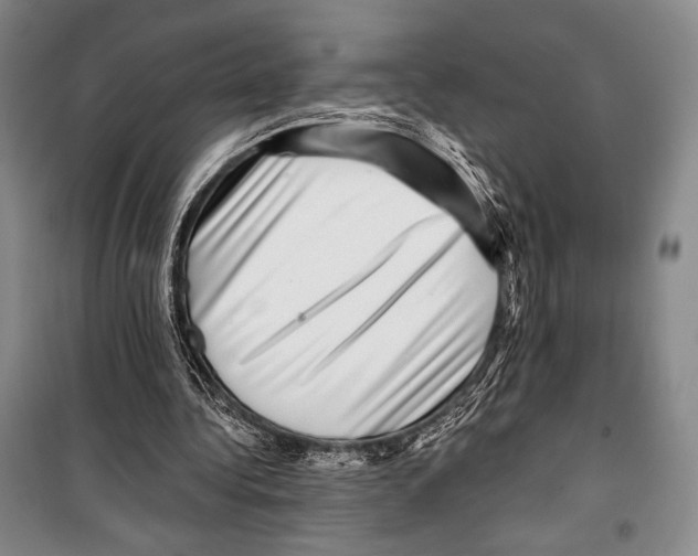 X0000099450340200806061111