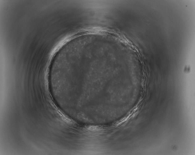 X0000099450341200806061111