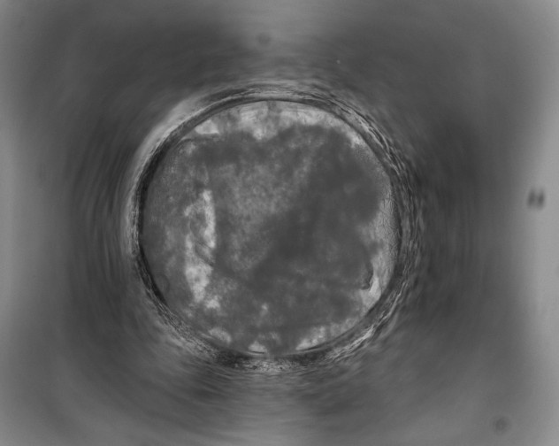 X0000099450343200806061111