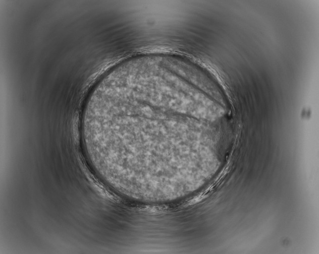 X0000099450345200806061111