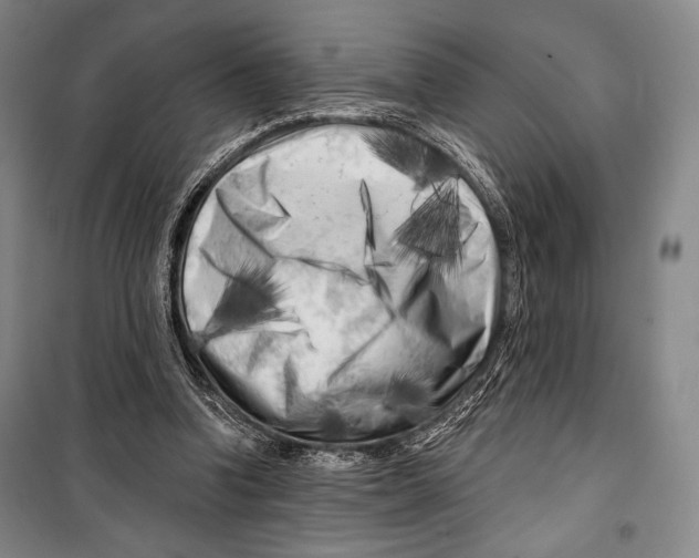 X0000099450346200806061111