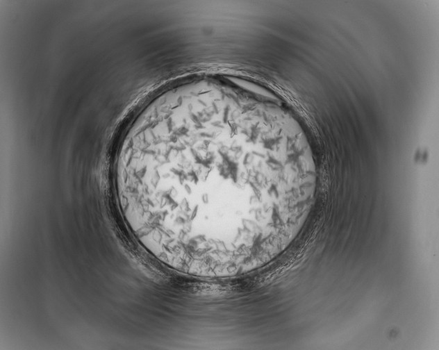 X0000099450347200806061111