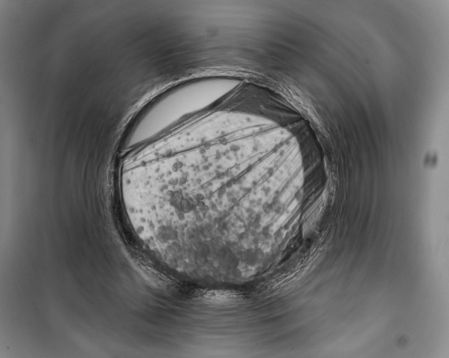 X0000099450348200806061111