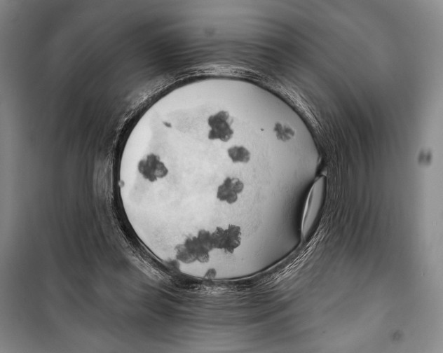 X0000099450349200806061111