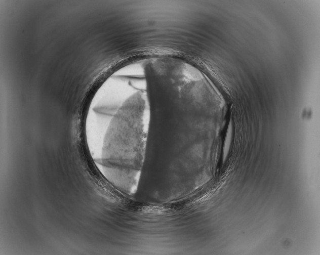 X0000099450351200806061111