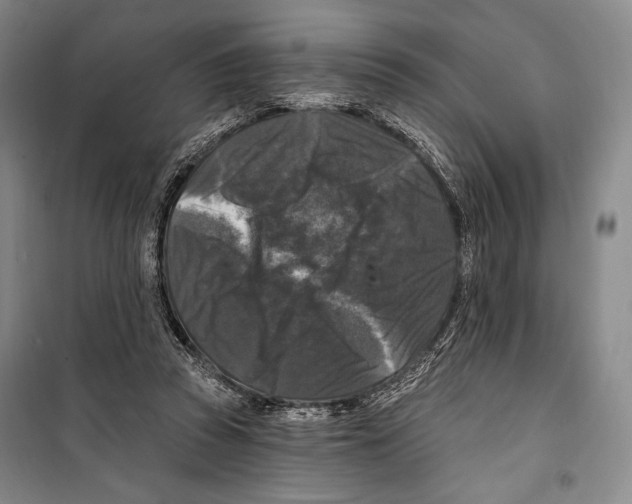 X0000099450353200806061111