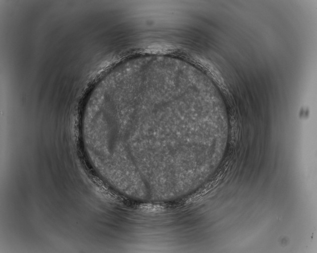 X0000099450354200806061111