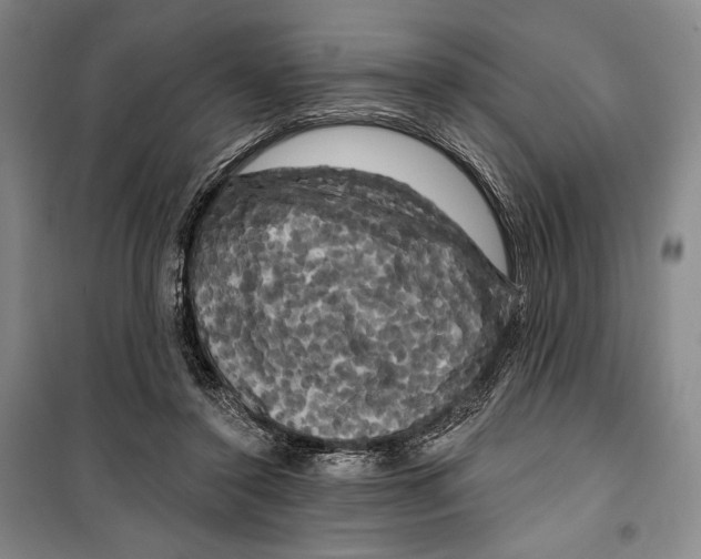 X0000099450356200806061111