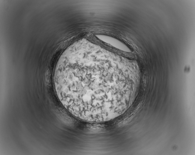 X0000099450359200806061111