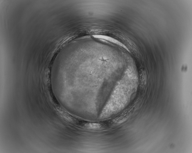 X0000099450361200806061111