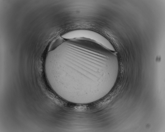 X0000099450362200806061111