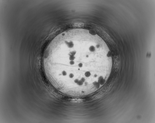 X0000099450363200806061111