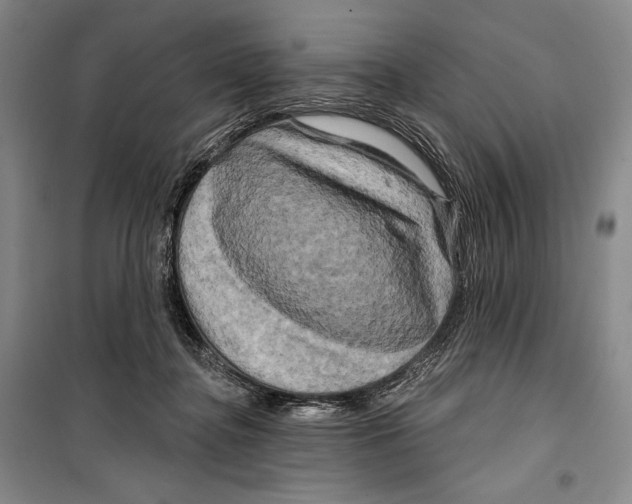 X0000099450364200806061111