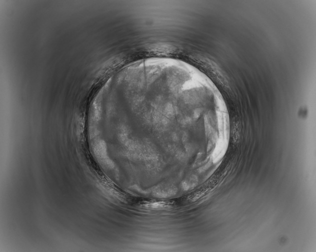 X0000099450365200806061111