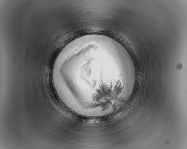 X0000099450366200806061111