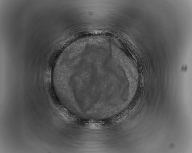 X0000099450368200806061111