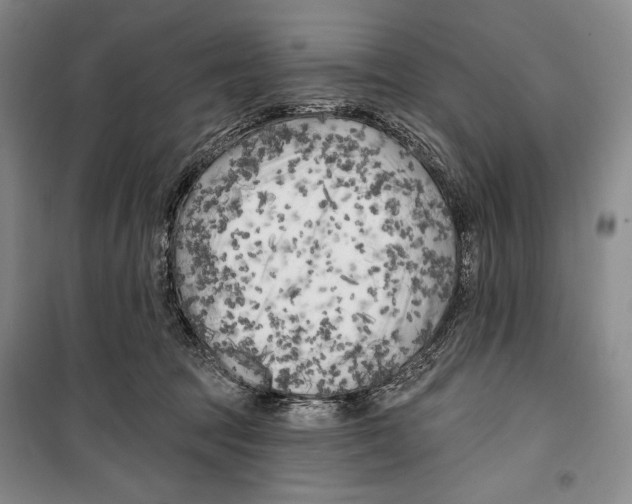 X0000099450369200806061111