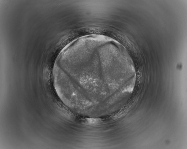 X0000099450371200806061111