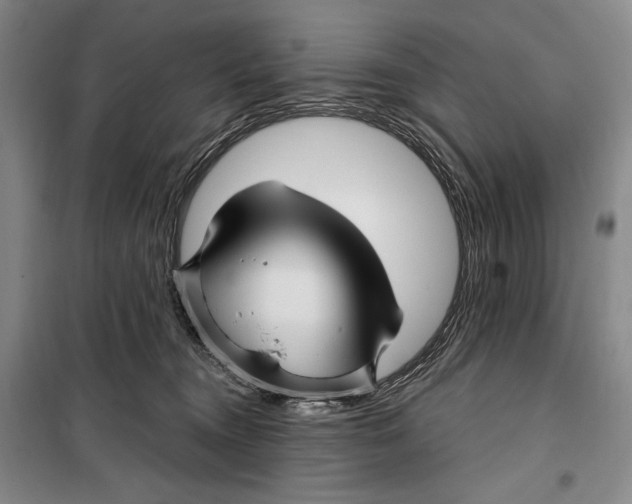 X0000099450372200806061111