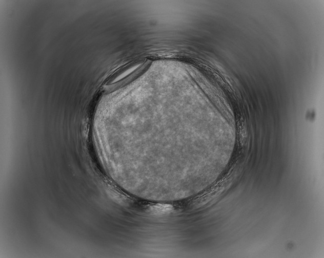 X0000099450374200806061111