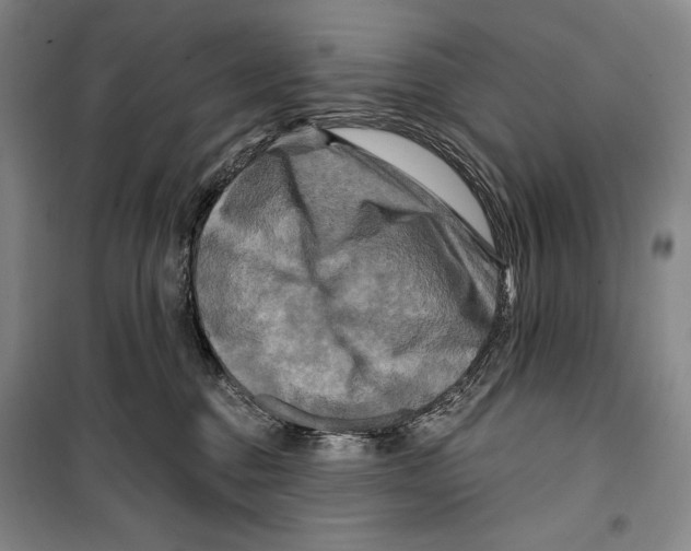 X0000099450376200806061111