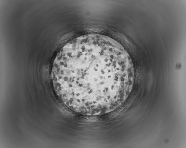 X0000099450377200806061111