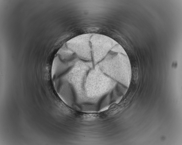 X0000099450378200806061111