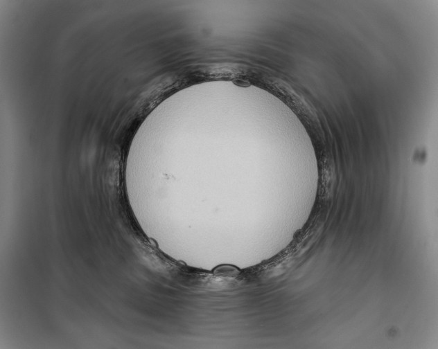 X0000099450379200806061111