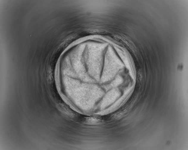 X0000099450380200806061111