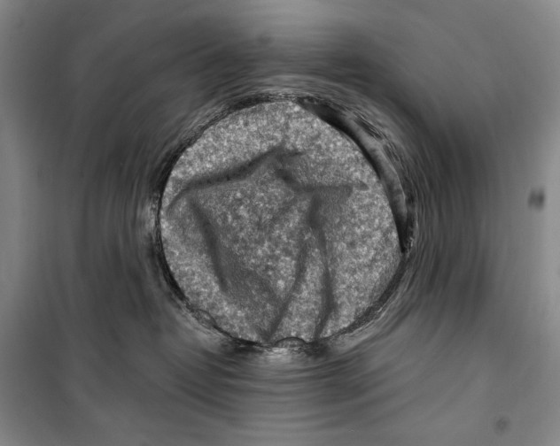 X0000099450382200806061111