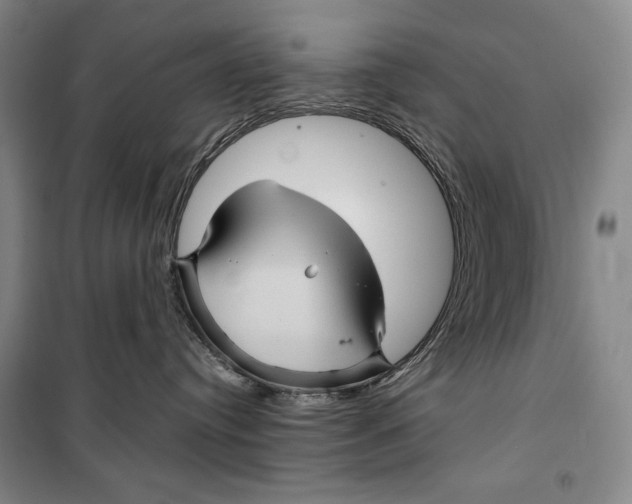 X0000099450384200806061111