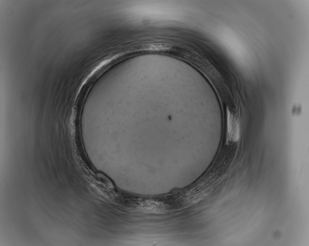 X0000099450387200806061111