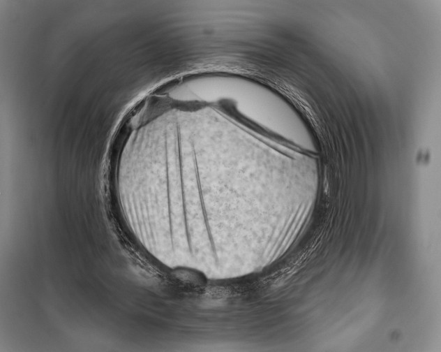 X0000099450388200806061111