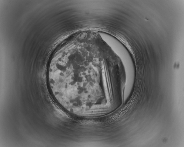 X0000099450389200806061111