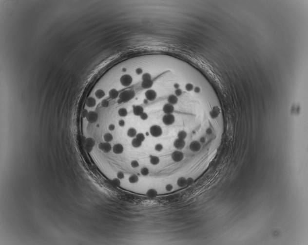 X0000099450390200806061111