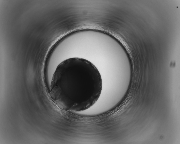 X0000099450391200806061111