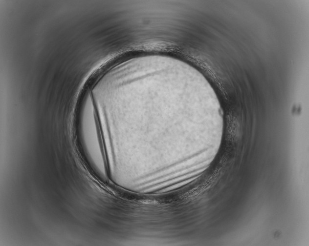 X0000099450392200806061111