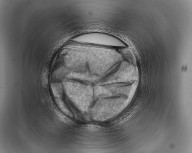 X0000099450393200806061111